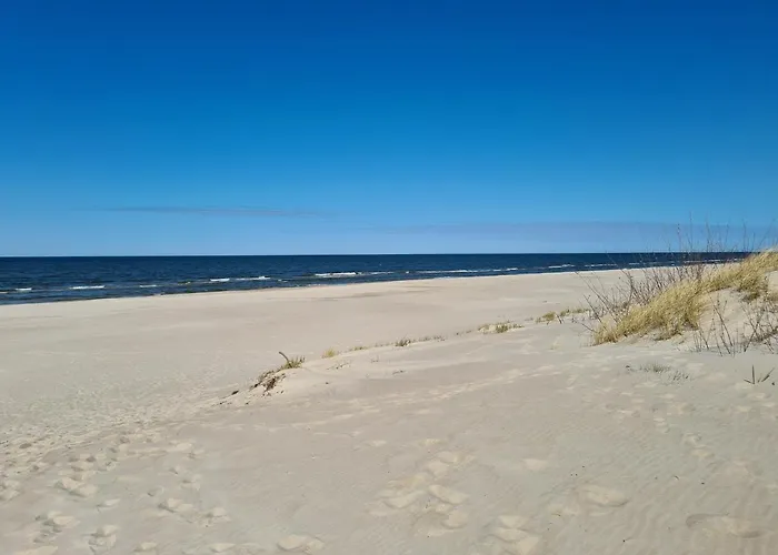 Beachmee 아파트 *