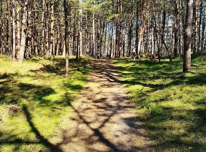 Apartamento Beachmee Rogowo (Gryfice)